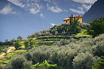 Italy portfolio